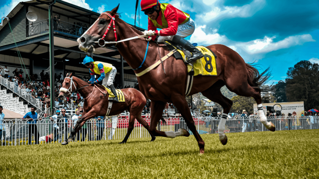 a horse running in the field