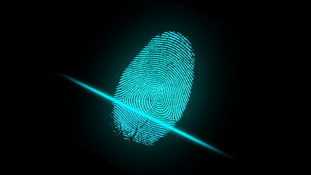 a fingerprint security