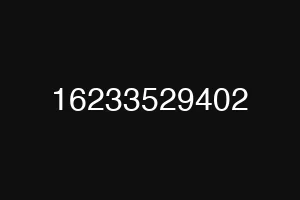 16233529402
