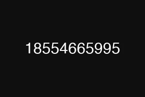 18554665995