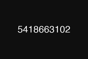 5418663102