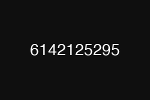 6142125295