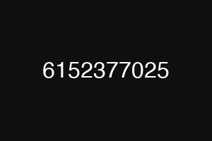 6152377025