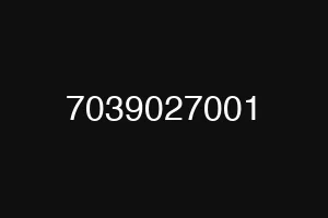 7039027001