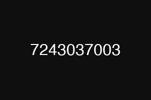 7243037003
