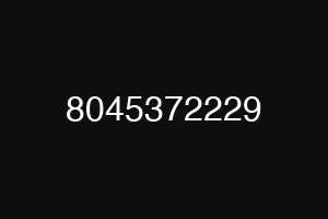 8045372229