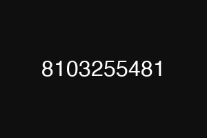 8103255481