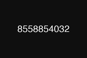 8558854032