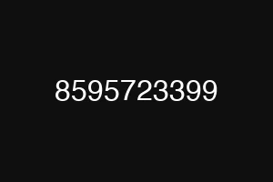 8595723399