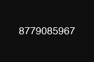 8779085967