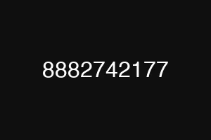 8882742177