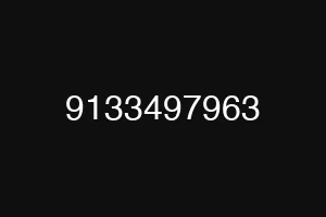 9133497963