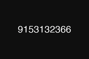 9153132366