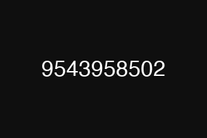 9543958502