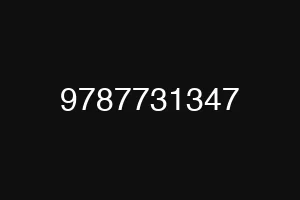 9787731347