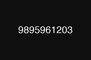 9895961203