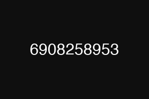 6908258953