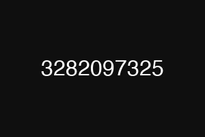 3282097325