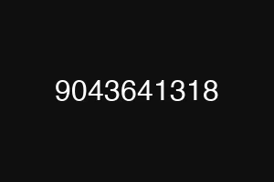 9043641318