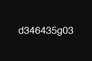 d346435g03