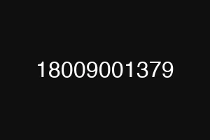 18009001379
