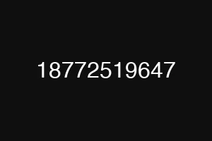 18772519647