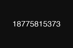 18775815373