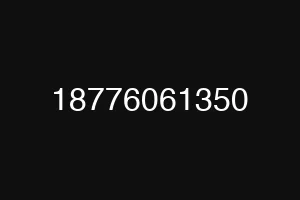 18776061350