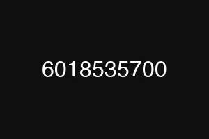 6018535700