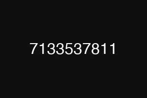 7133537811