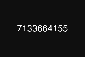 7133664155