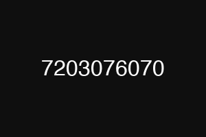 7203076070
