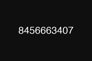 8456663407