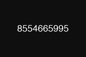 8554665995