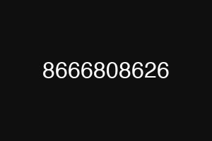 8666808626