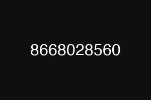 8668028560