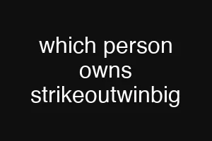 which person owns strikeoutwinbig